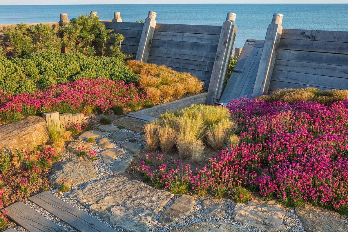 Coastal Garden by Anthony Paul Landscape Design