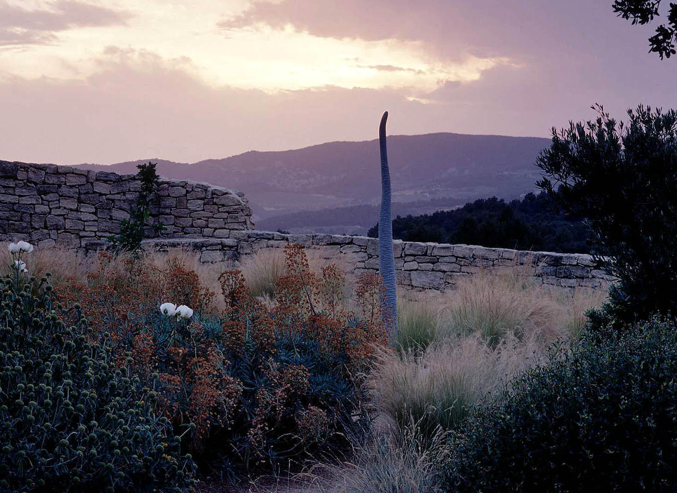 Anthony Paul Landscape Design