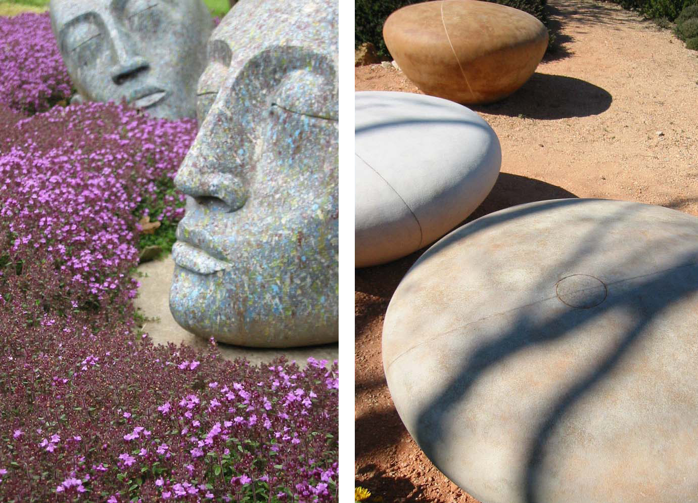 Anthony Paul Landscape Design
