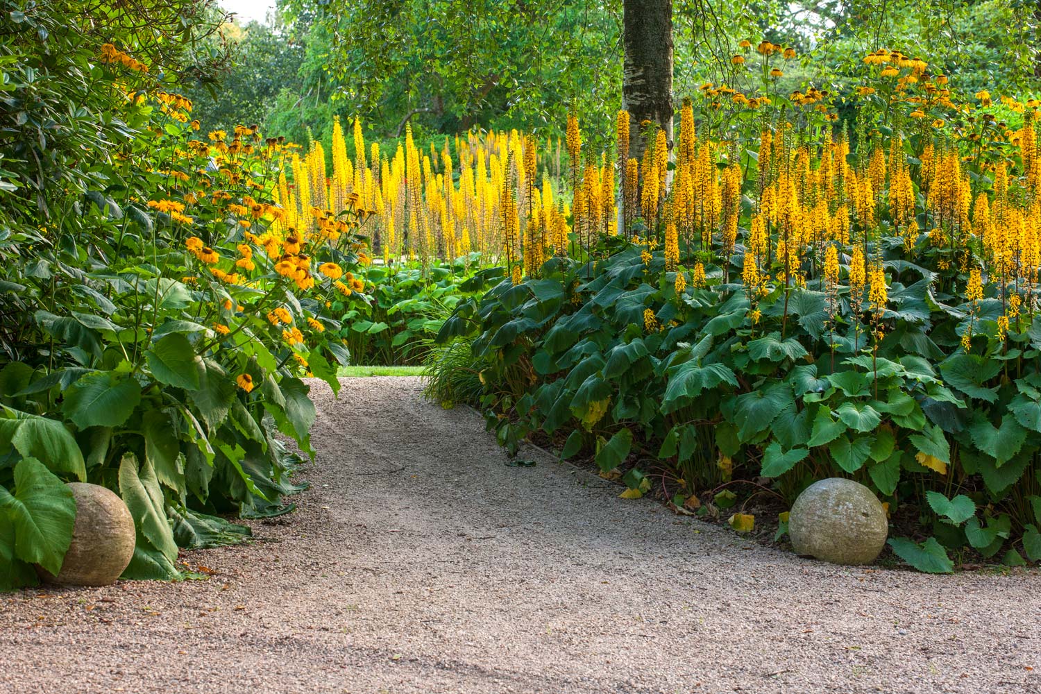Anthony Paul Landscape Design Belmont House