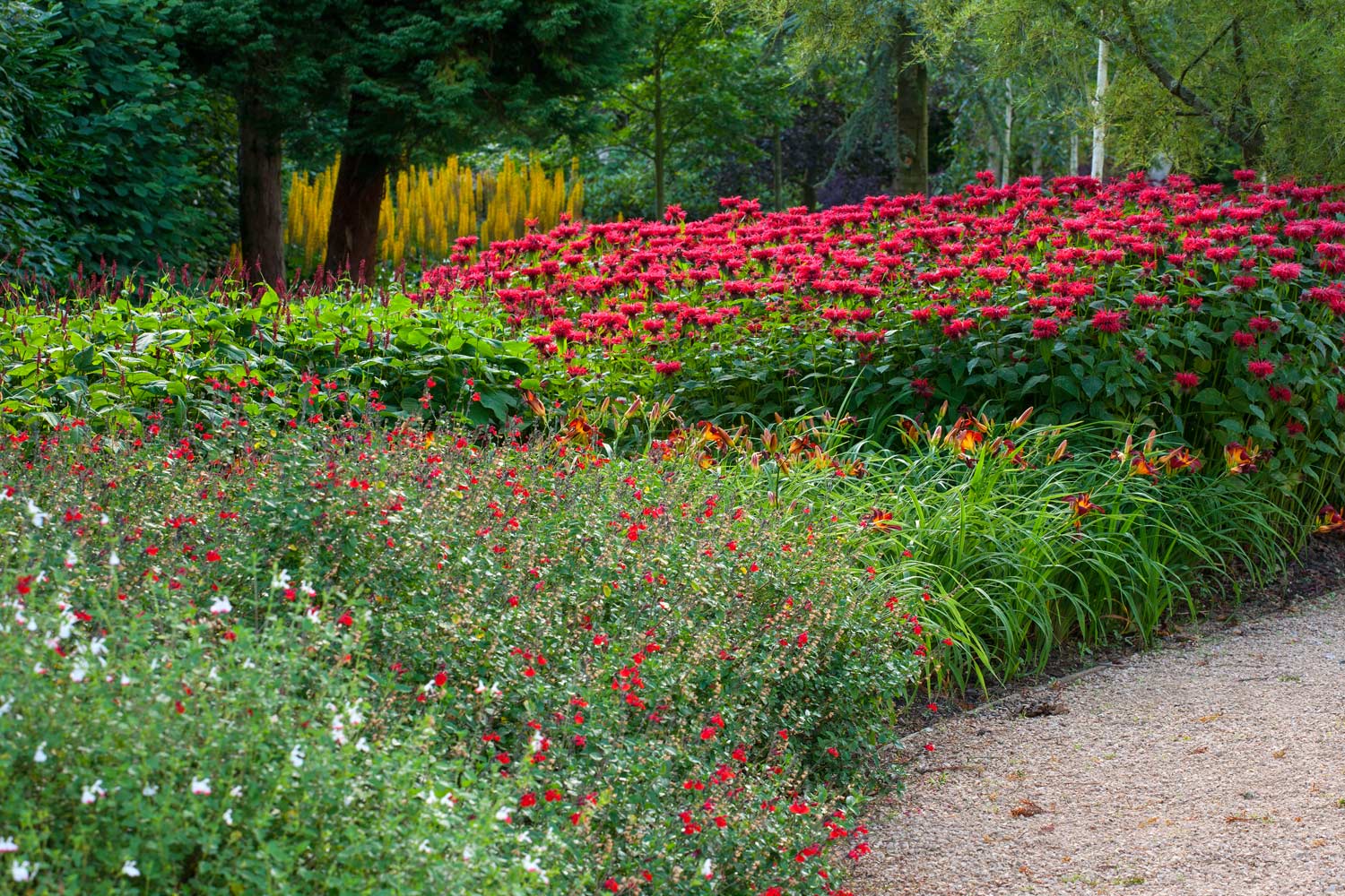 Anthony Paul Landscape Design Belmont House