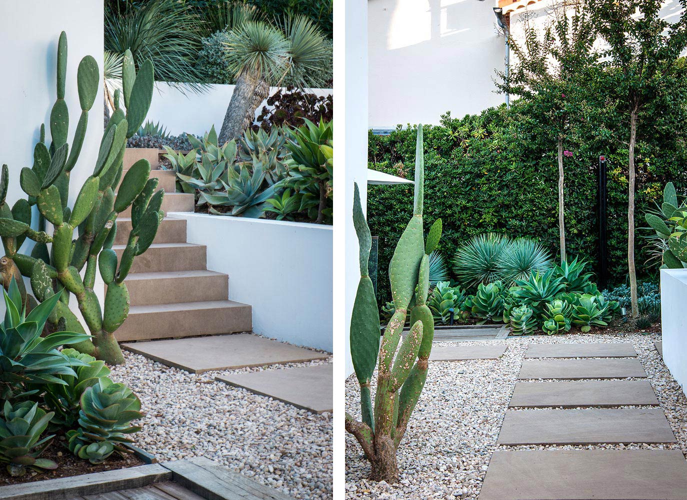 Anthony Paul Landscape Design