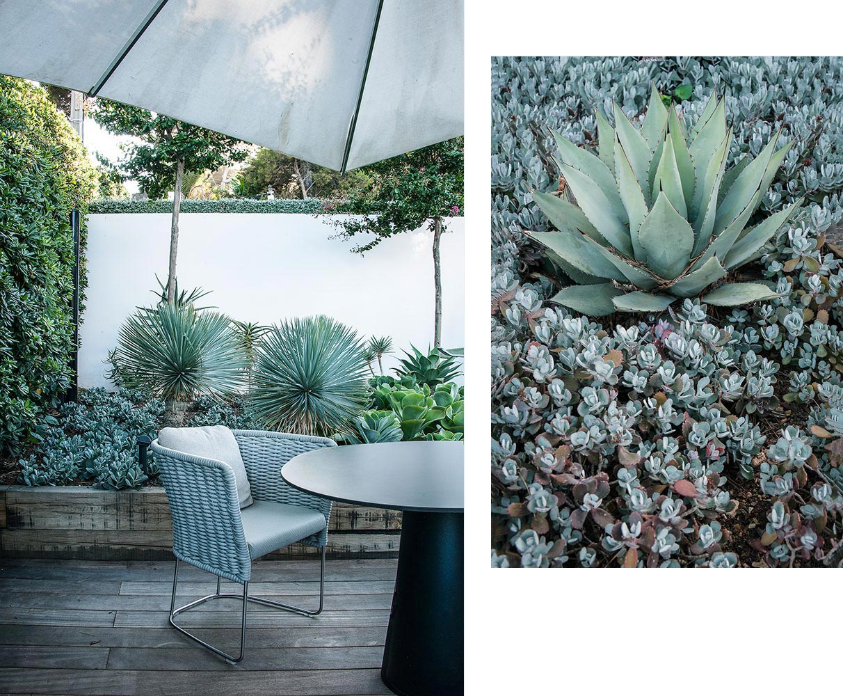 Anthony Paul Landscape Design