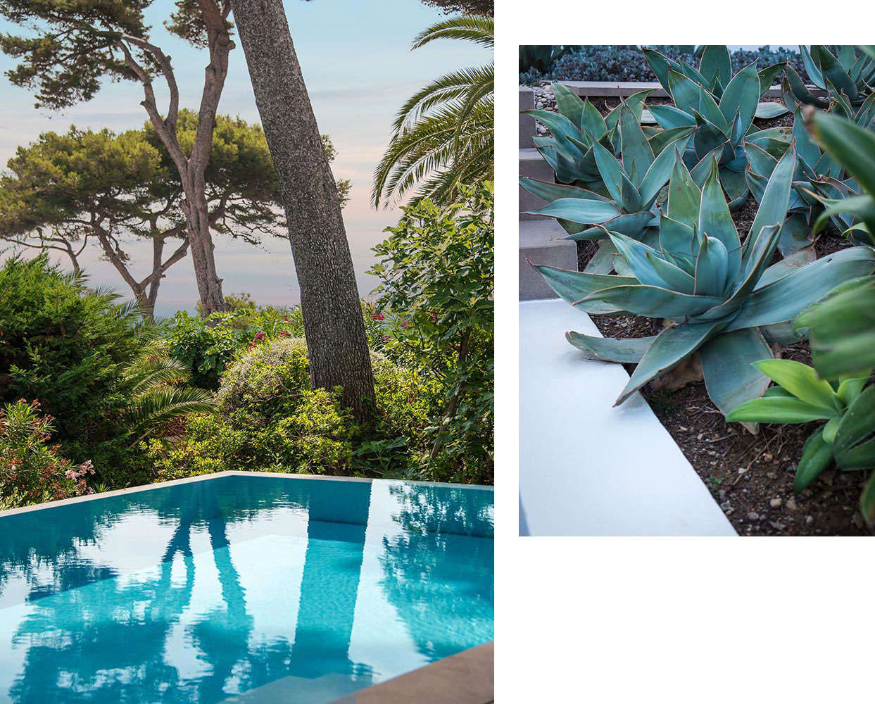 Anthony Paul Landscape Design