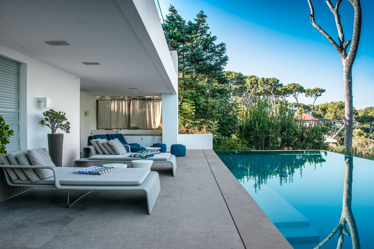 Anthony Paul Landscape Design