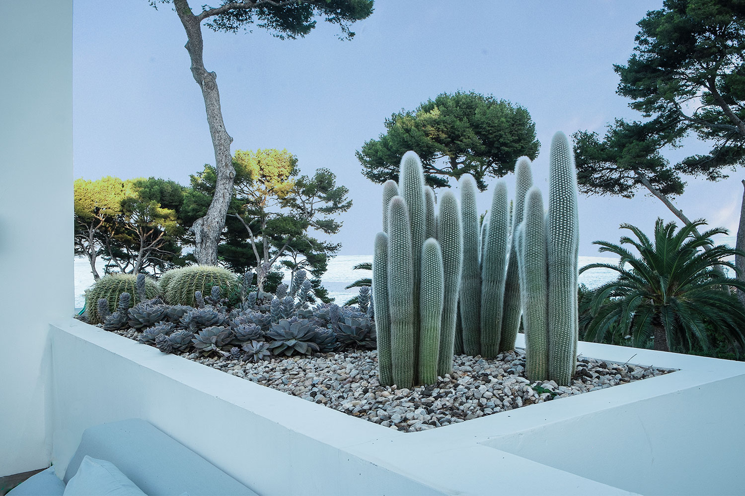 Anthony Paul Landscape Design
