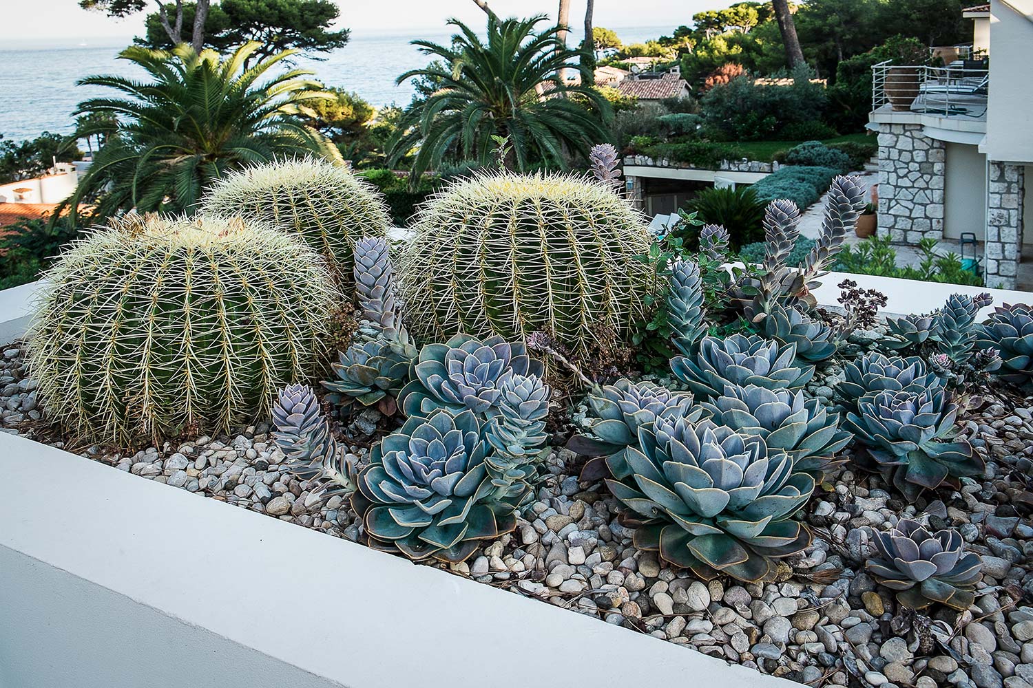 Anthony Paul Landscape Design