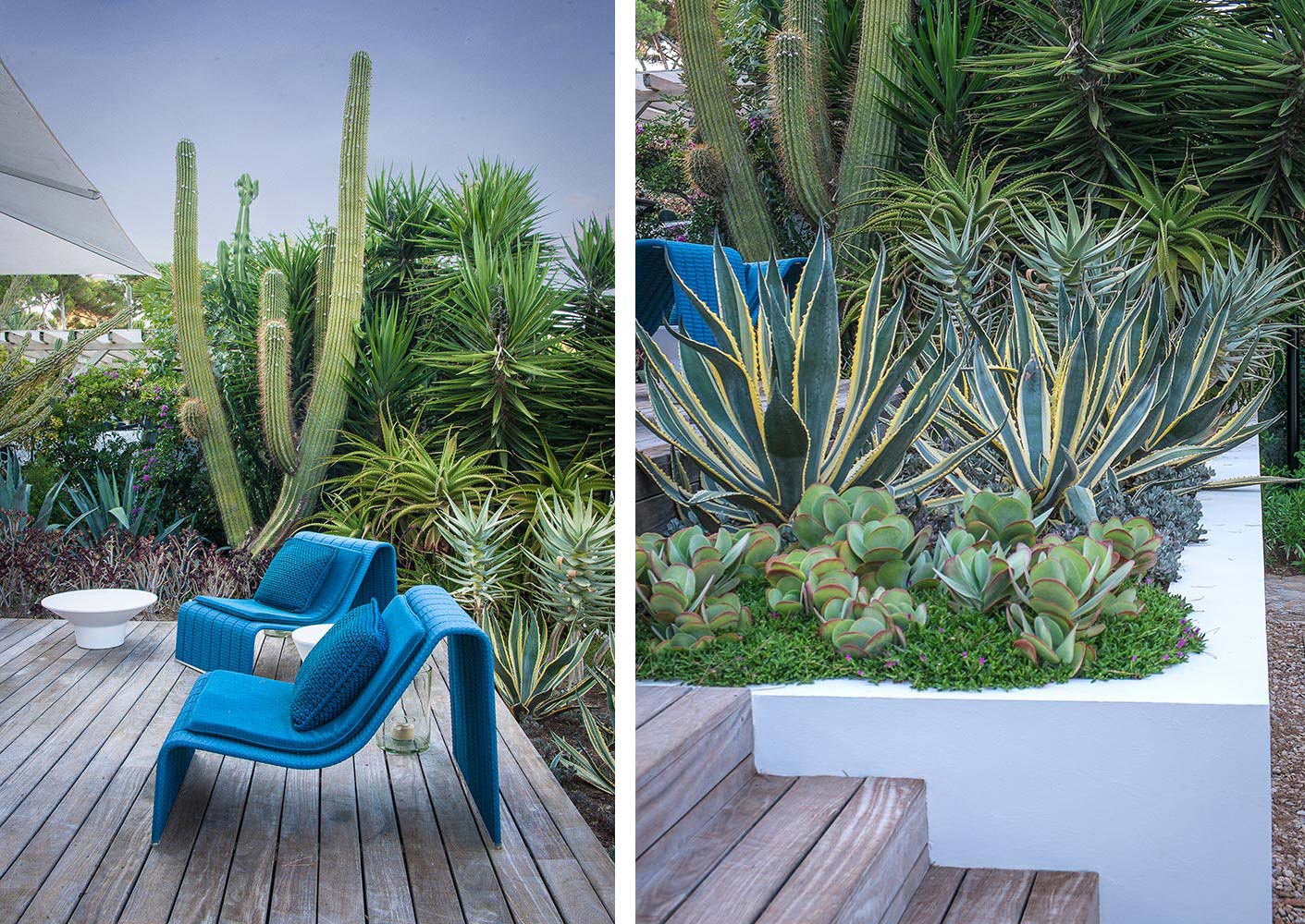 Anthony Paul Landscape Design