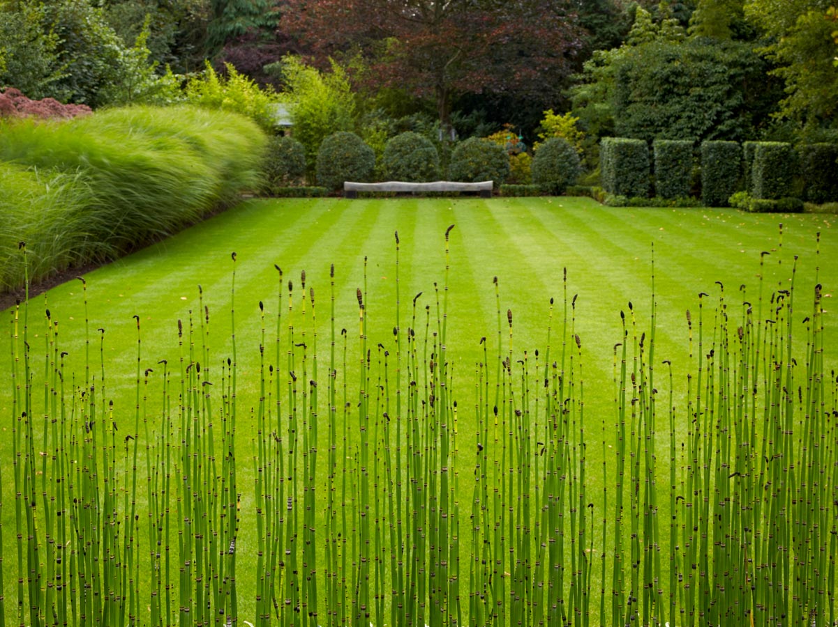 Anthony Paul Landscape Design