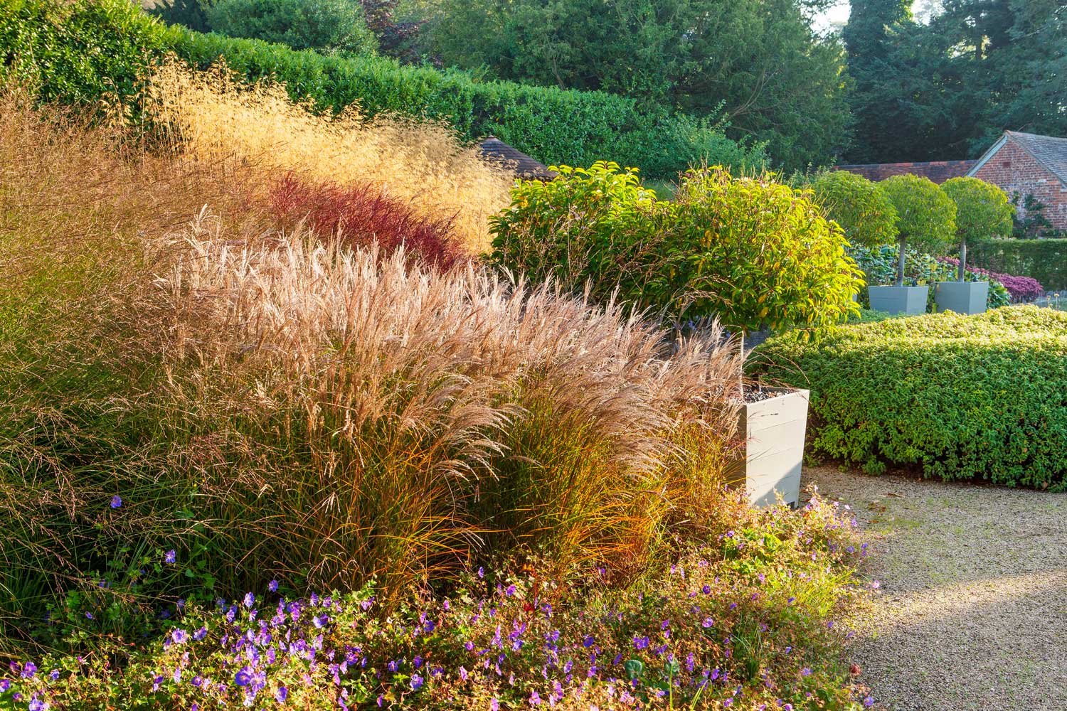 Coldharbour garden by Anthony Paul Landscape Design