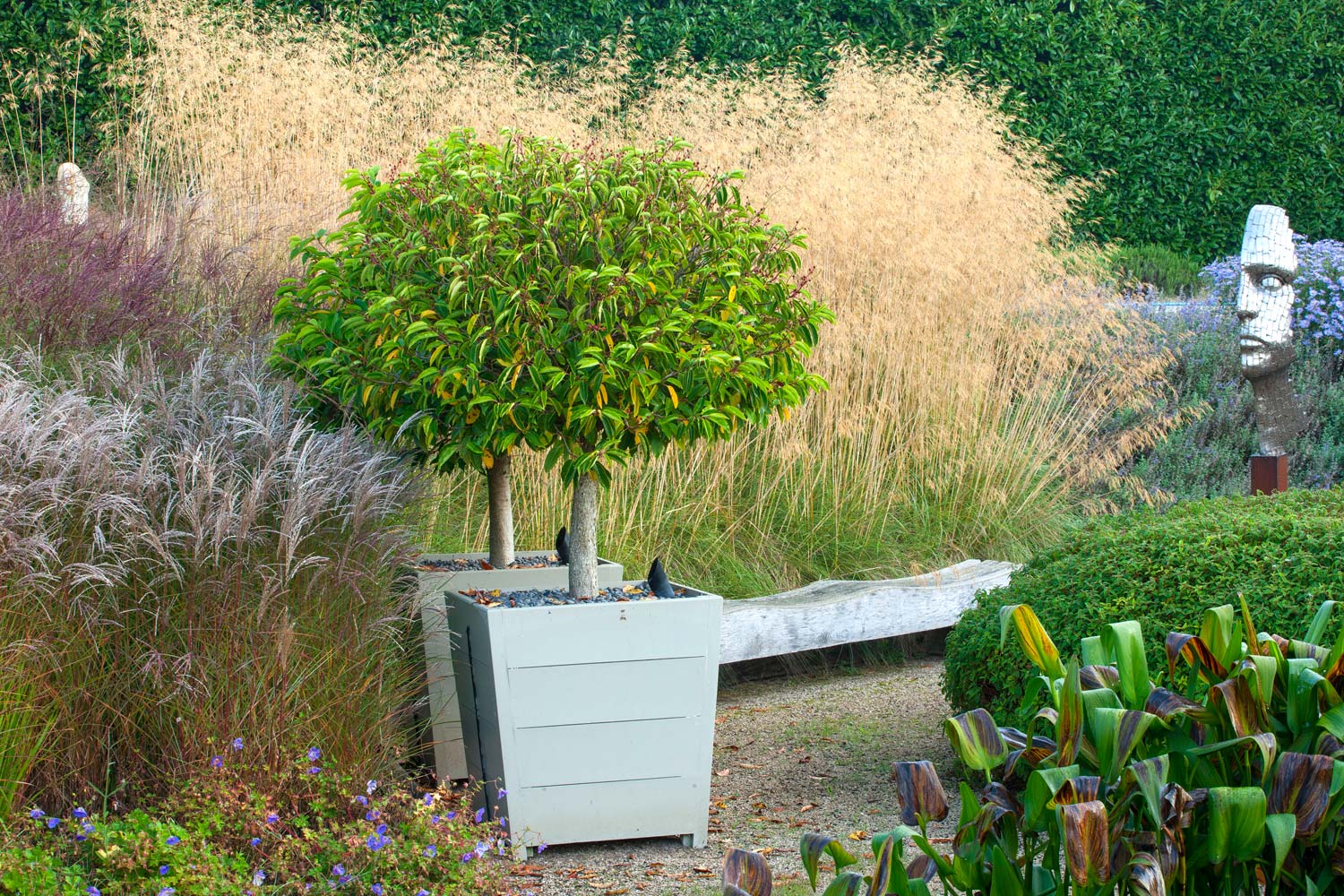 Coldharbour garden by Anthony Paul Landscape Design