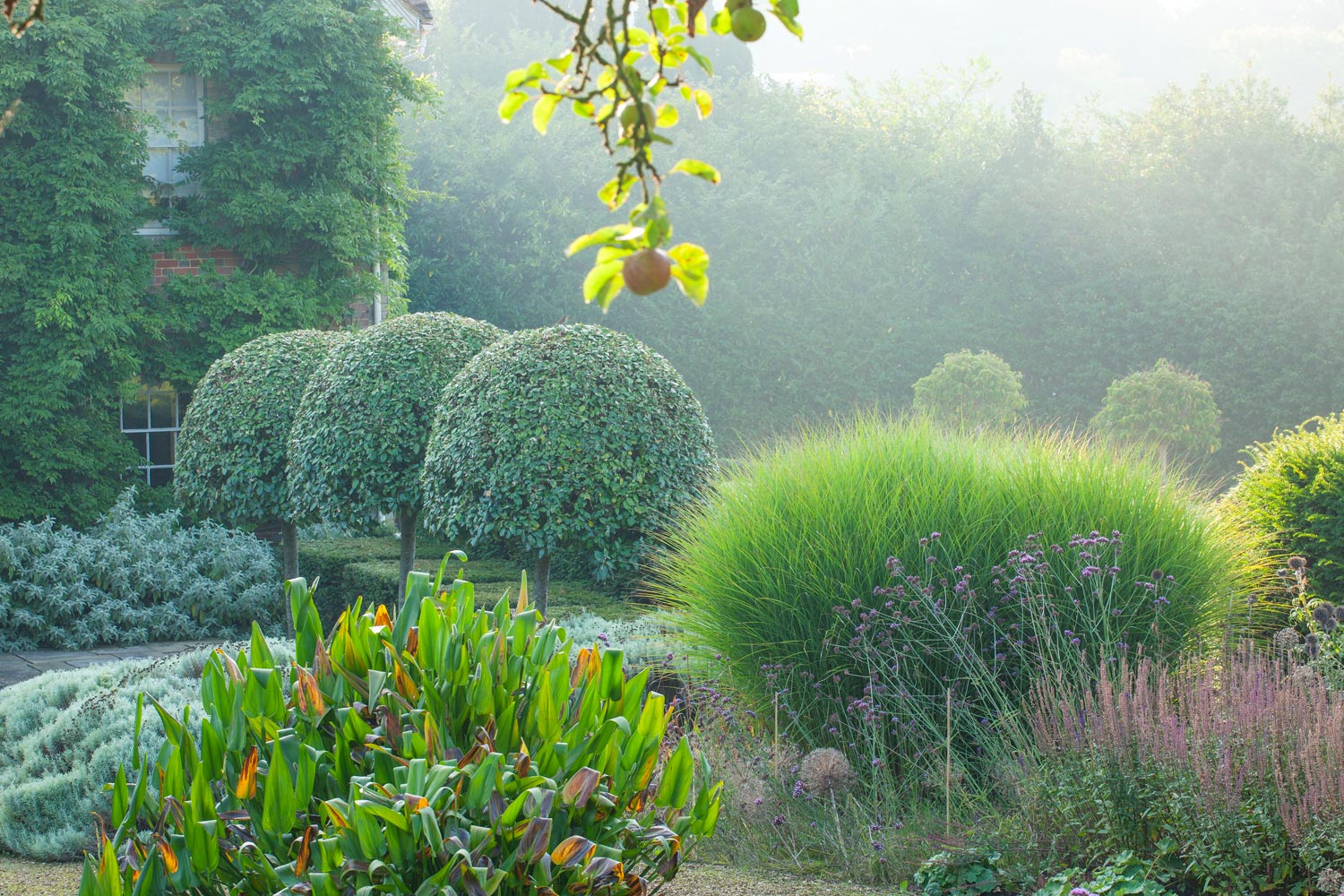 Coldharbour garden by Anthony Paul Landscape Design