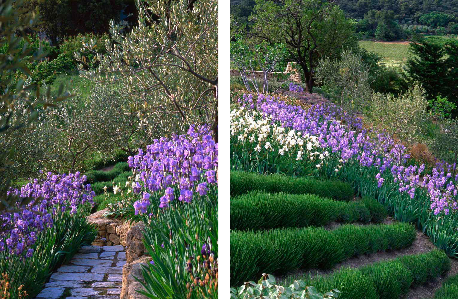Provence Landscape by Anthony Paul Landscape Design