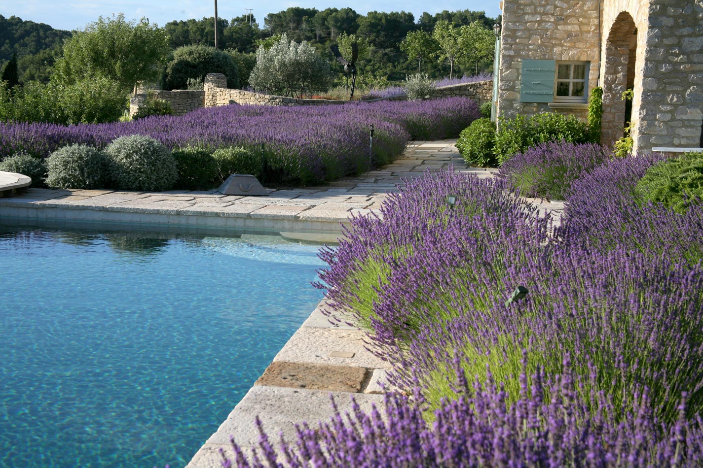 Provence Landscape by Anthony Paul Landscape Design