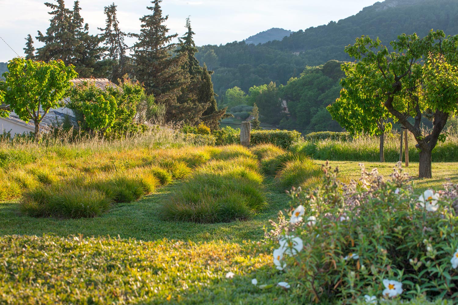 Provence Landscape by Anthony Paul Landscape Design
