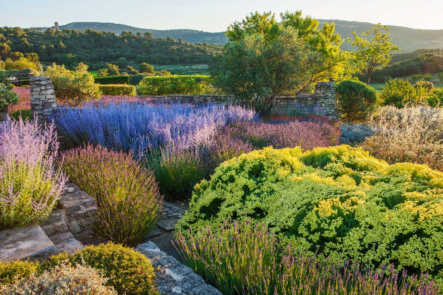 Provence Landscape by Anthony Paul Landscape Design
