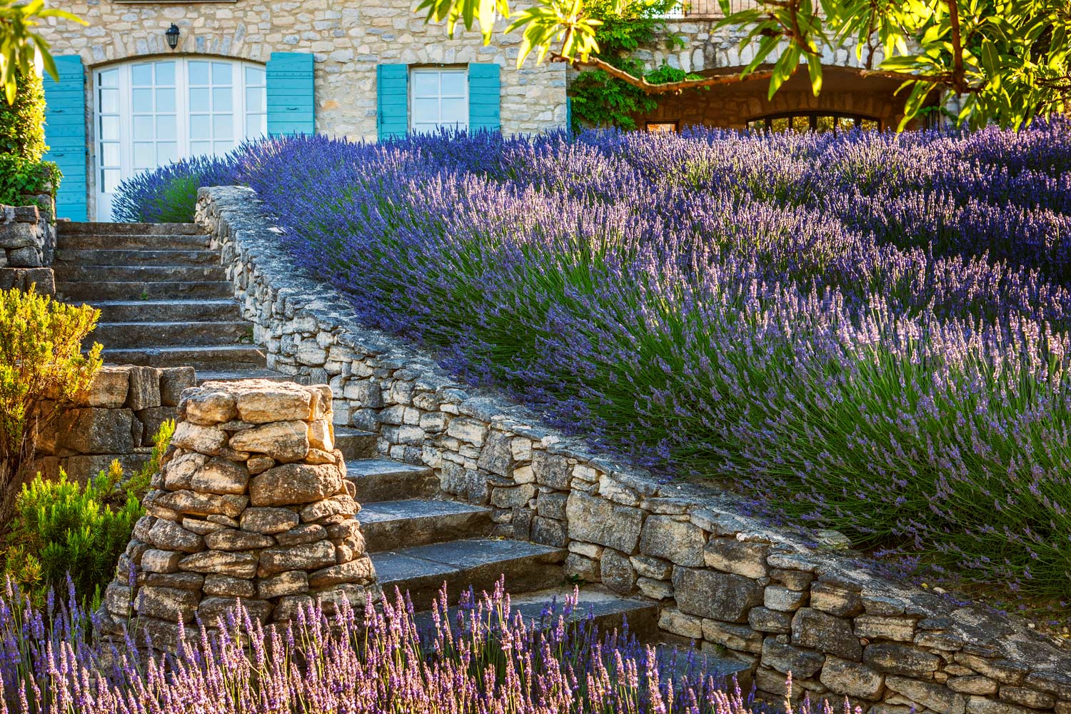 Provence Landscape by Anthony Paul Landscape Design