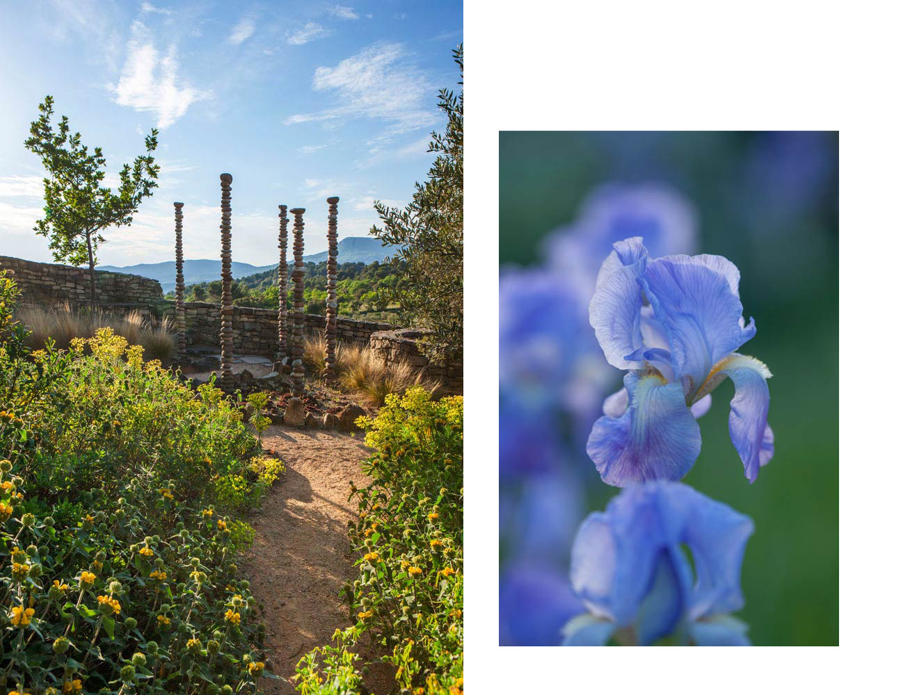 Provence Landscape by Anthony Paul Landscape Design