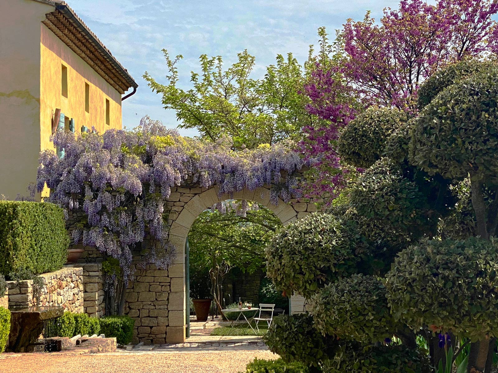 Provence garden Anthony Paul Landscape Design