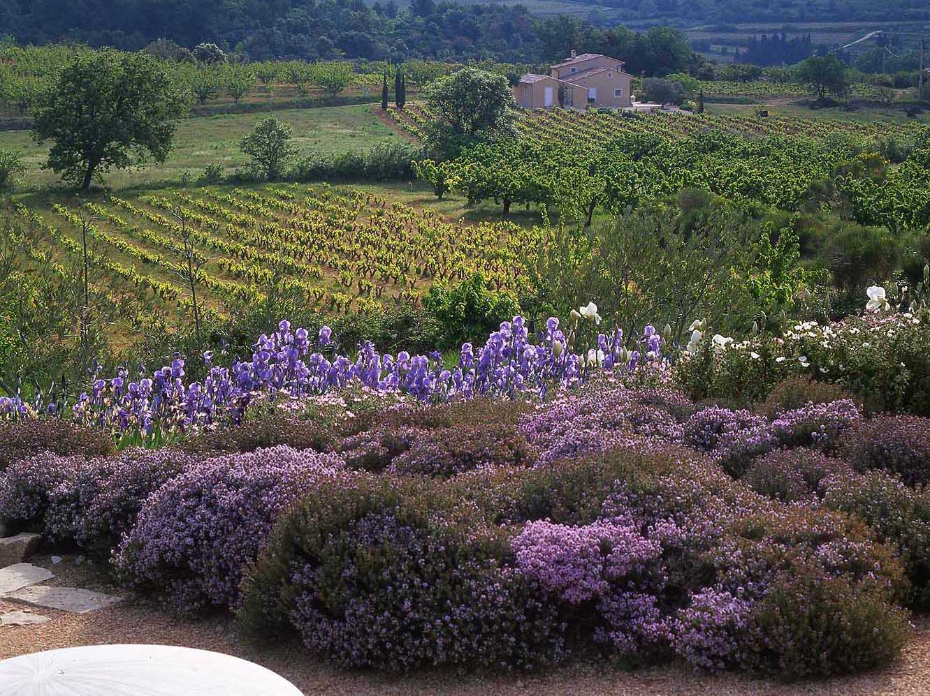 Provence Landscape by Anthony Paul Landscape Design
