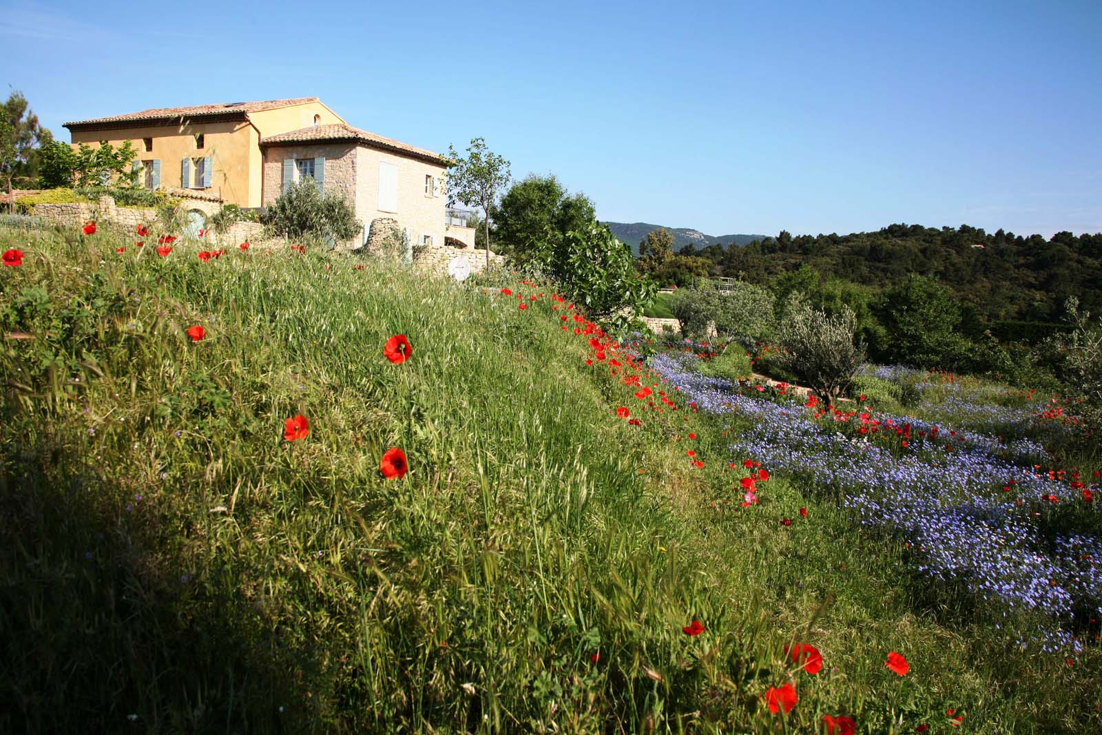 Provence Landscape by Anthony Paul Landscape Design
