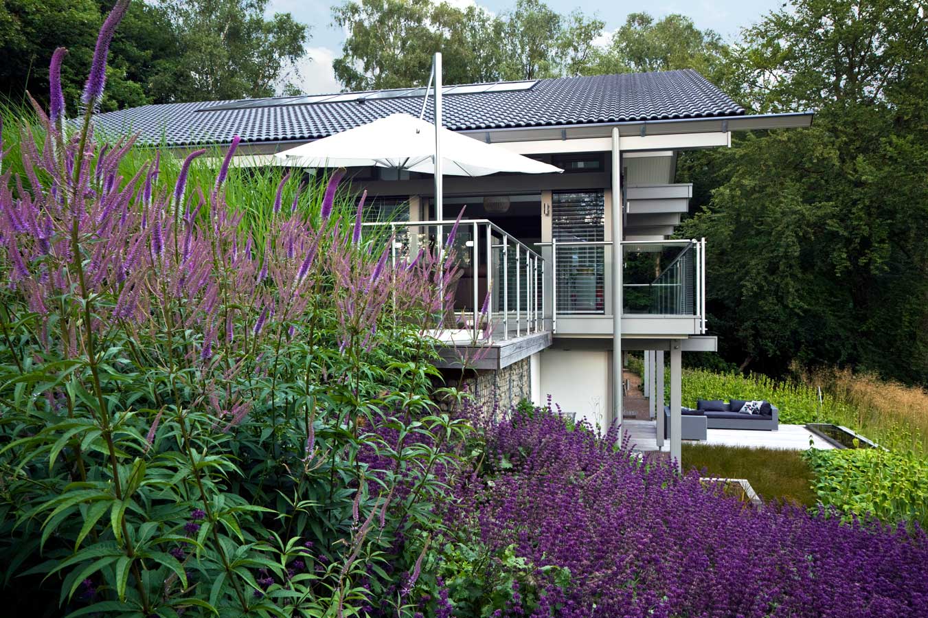 Huf Haus gardens by Anthony Paul Landscape Design