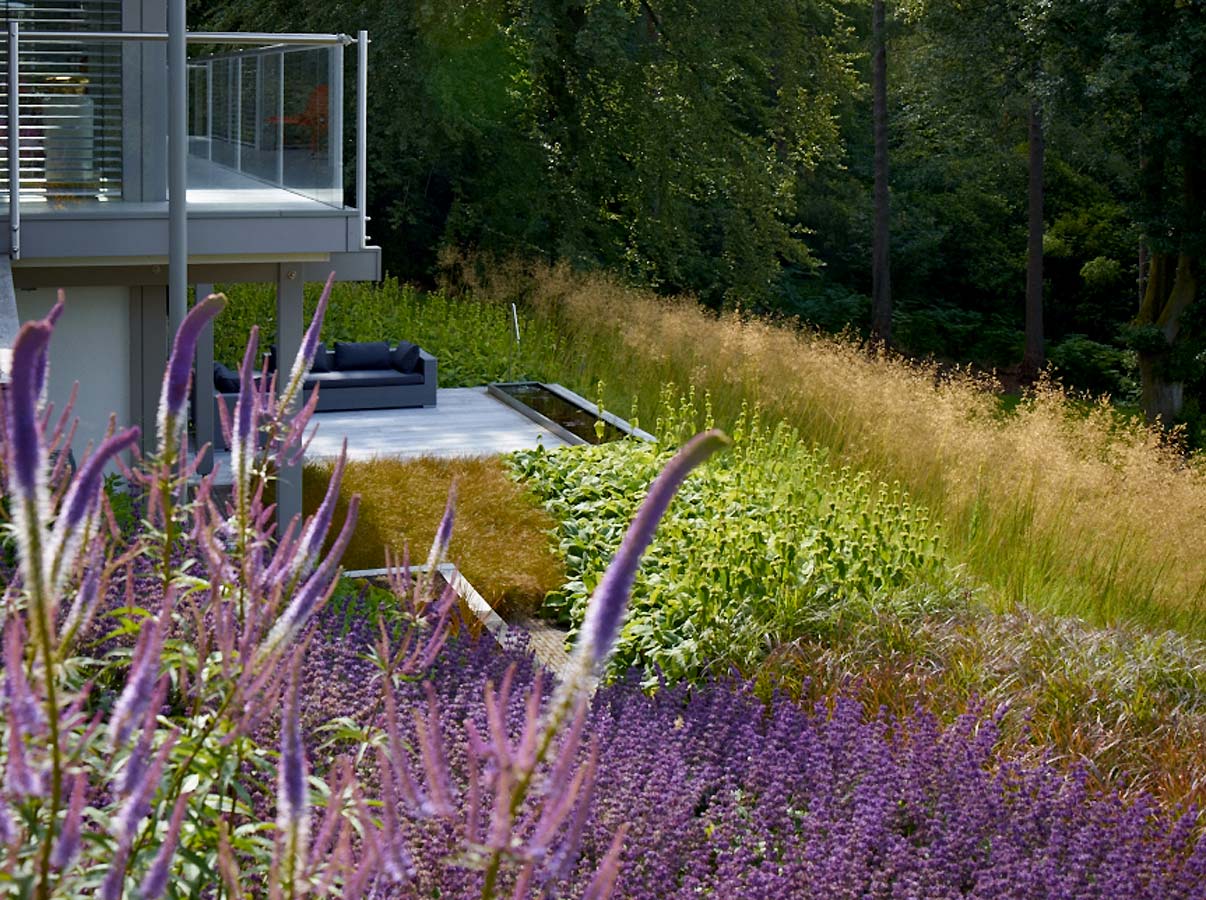 Huf Haus gardens by Anthony Paul Landscape Design