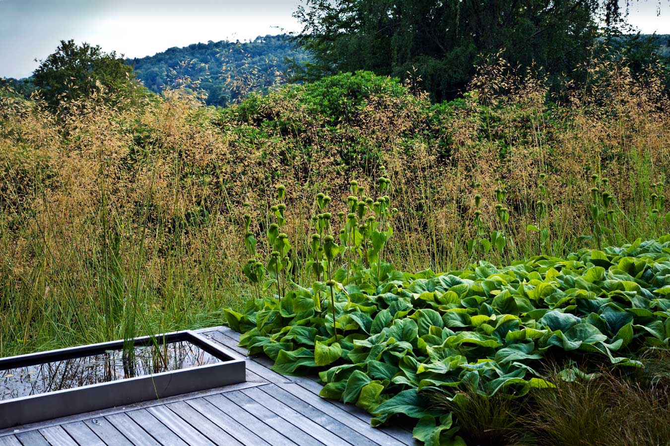 Huf Haus gardens by Anthony Paul Landscape Design