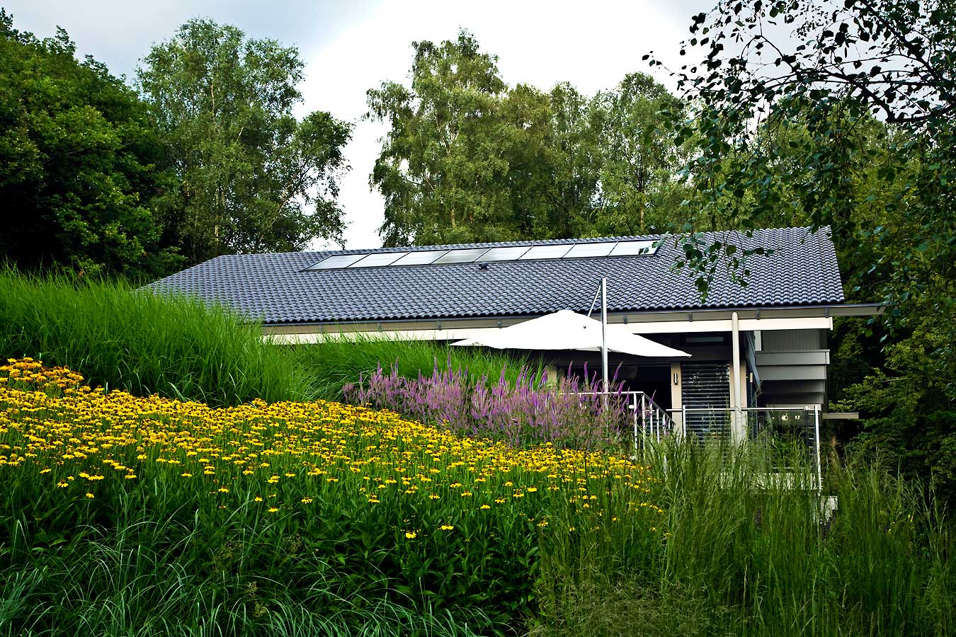 Huf Haus gardens by Anthony Paul Landscape Design