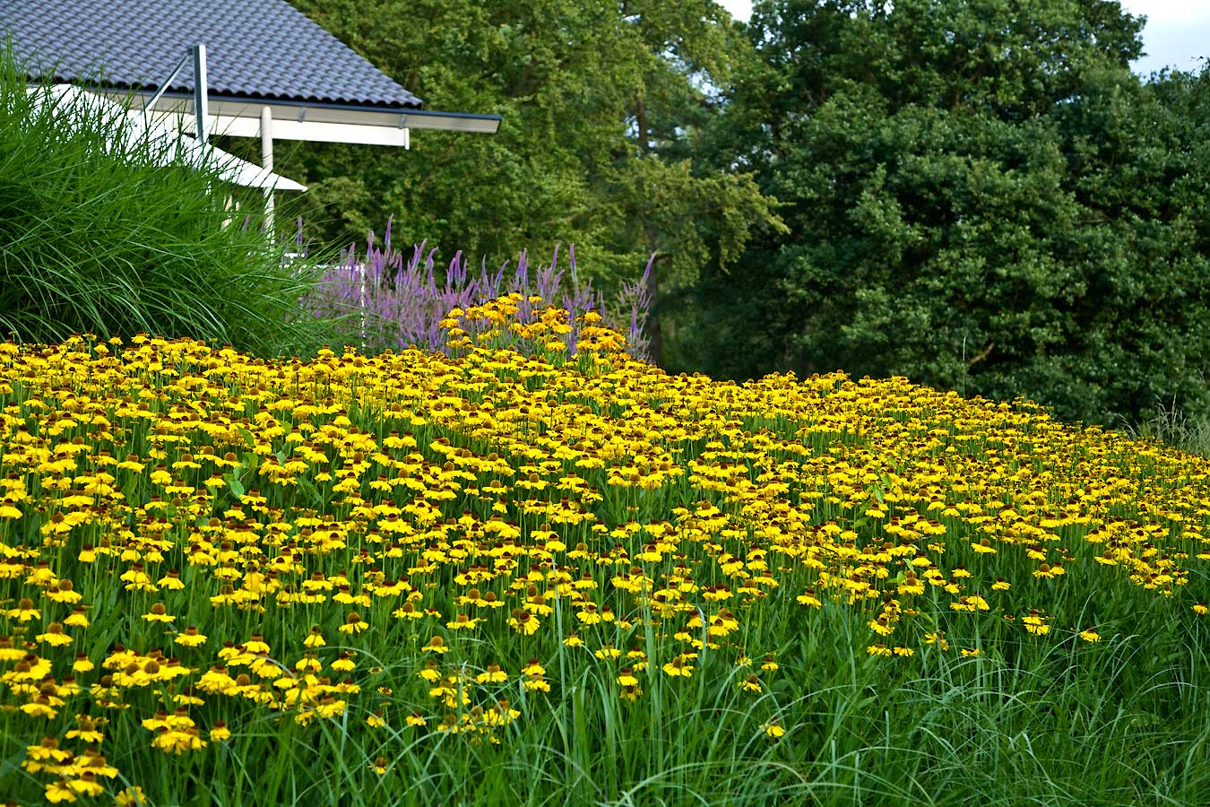 Huf Haus gardens by Anthony Paul Landscape Design