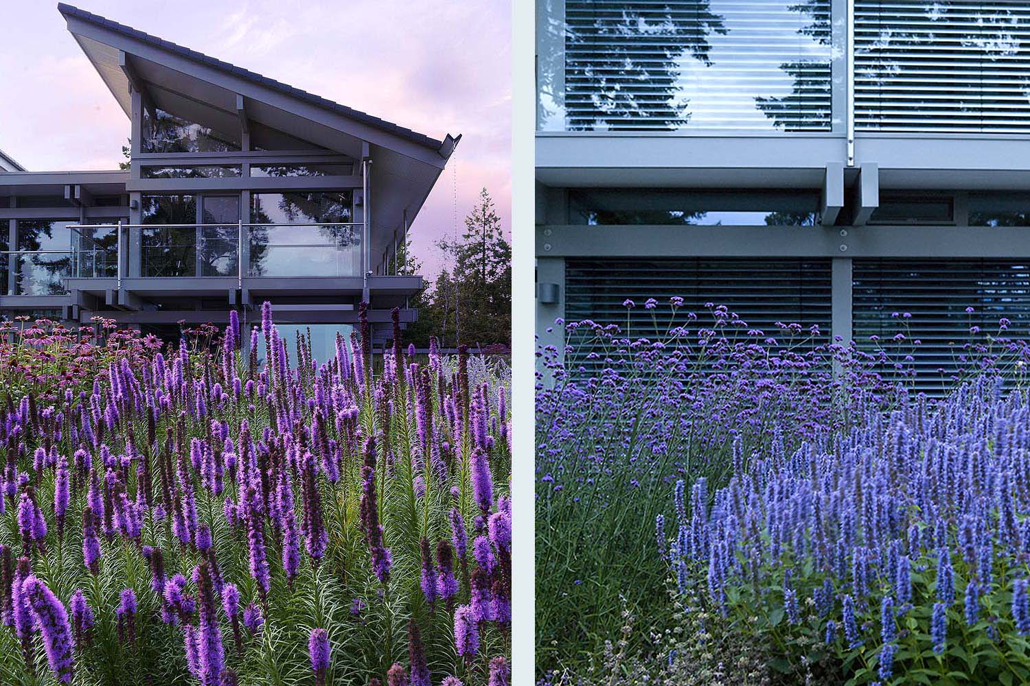 Huf Haus gardens by Anthony Paul Landscape Design