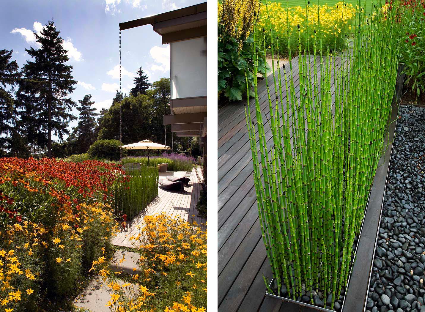 Huf Haus gardens by Anthony Paul Landscape Design