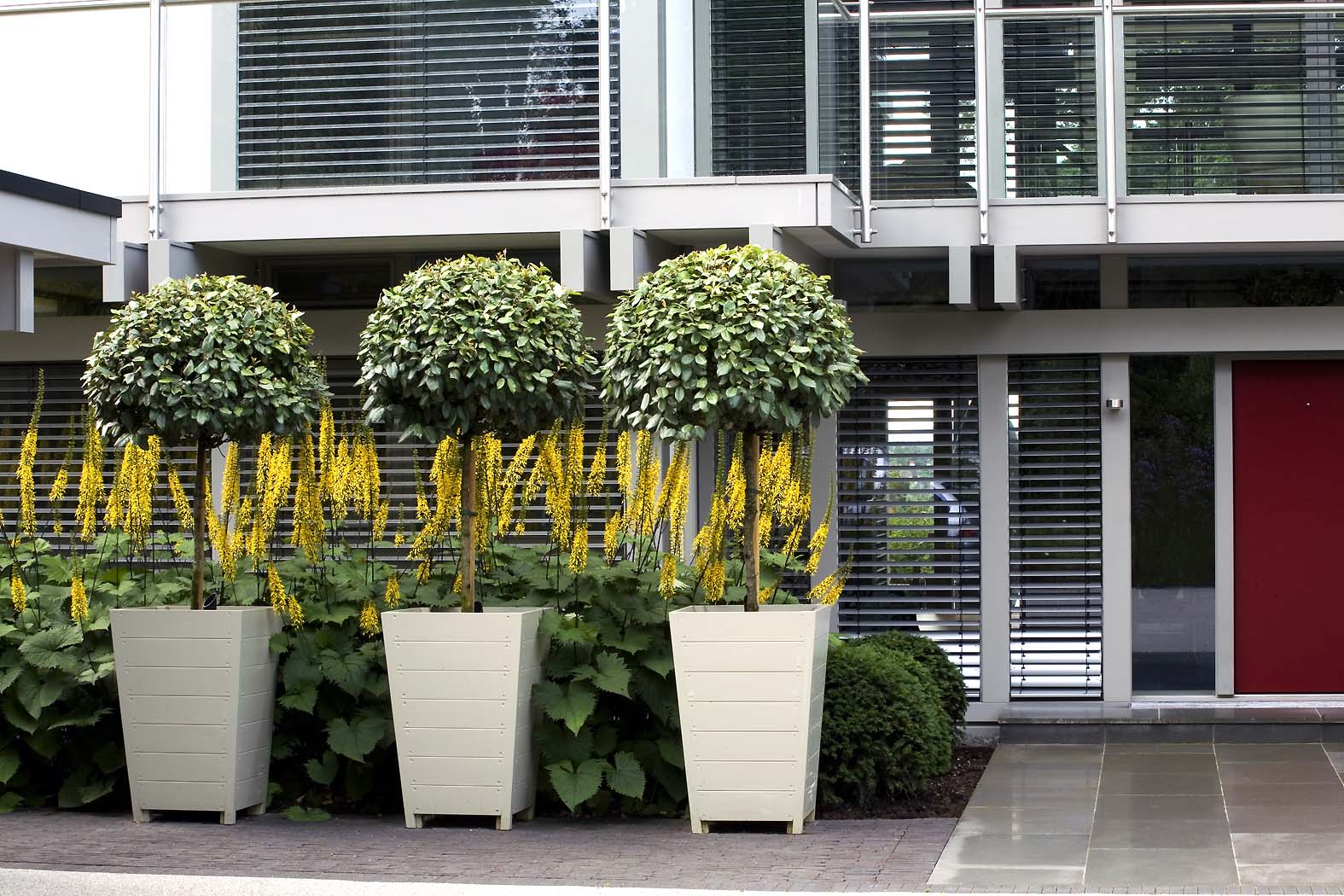Huf Haus gardens by Anthony Paul Landscape Design