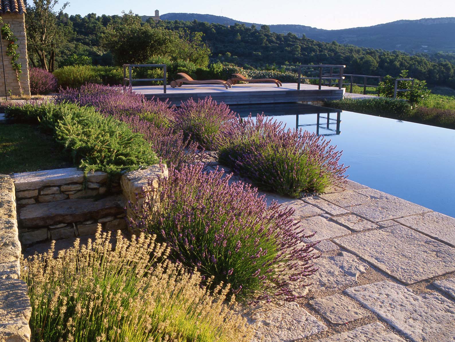 Anthony Paul Landscape Design