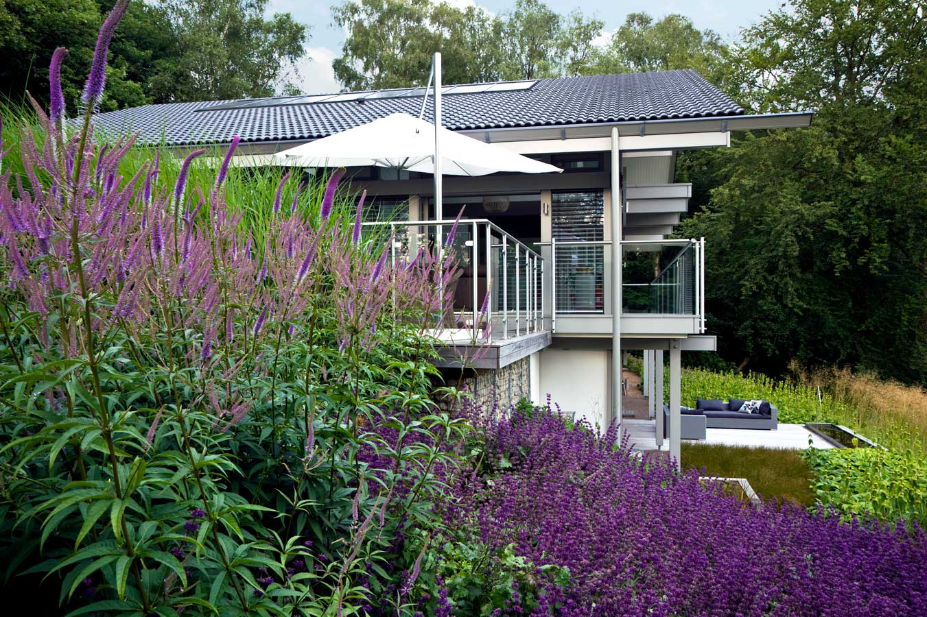 Anthony Paul Landscape Design
