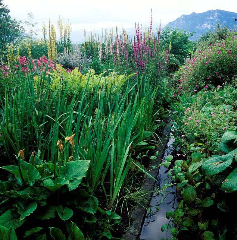Swiss garden Lake Lucerne Anthony Paul Landscape Design