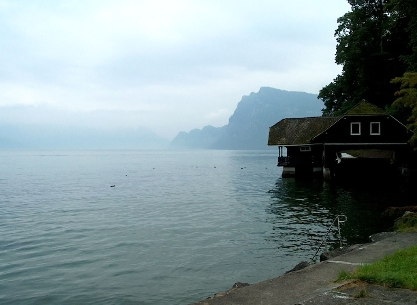 Swiss garden Lake Lucerne Anthony Paul Landscape Design