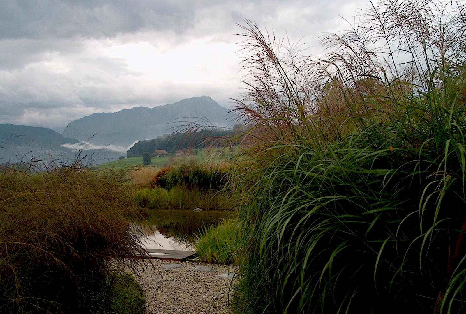 Swiss garden Lake Lucerne Anthony Paul Landscape Design