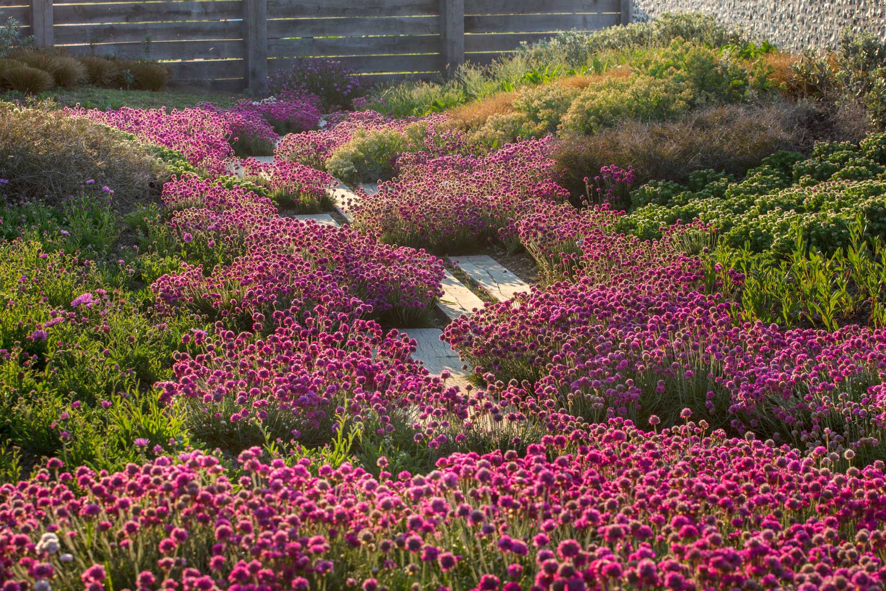 West Wittering sea edge garden - Anthony Paul Landscape Design