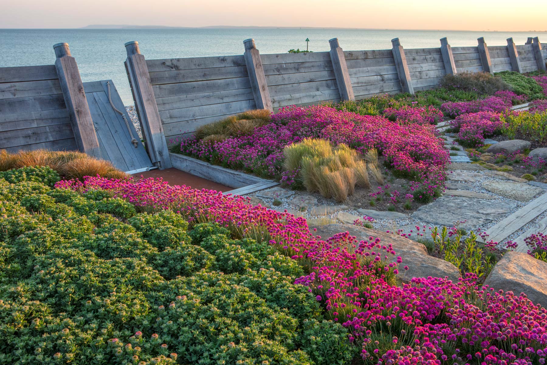 West Wittering sea edge garden - Anthony Paul Landscape Design