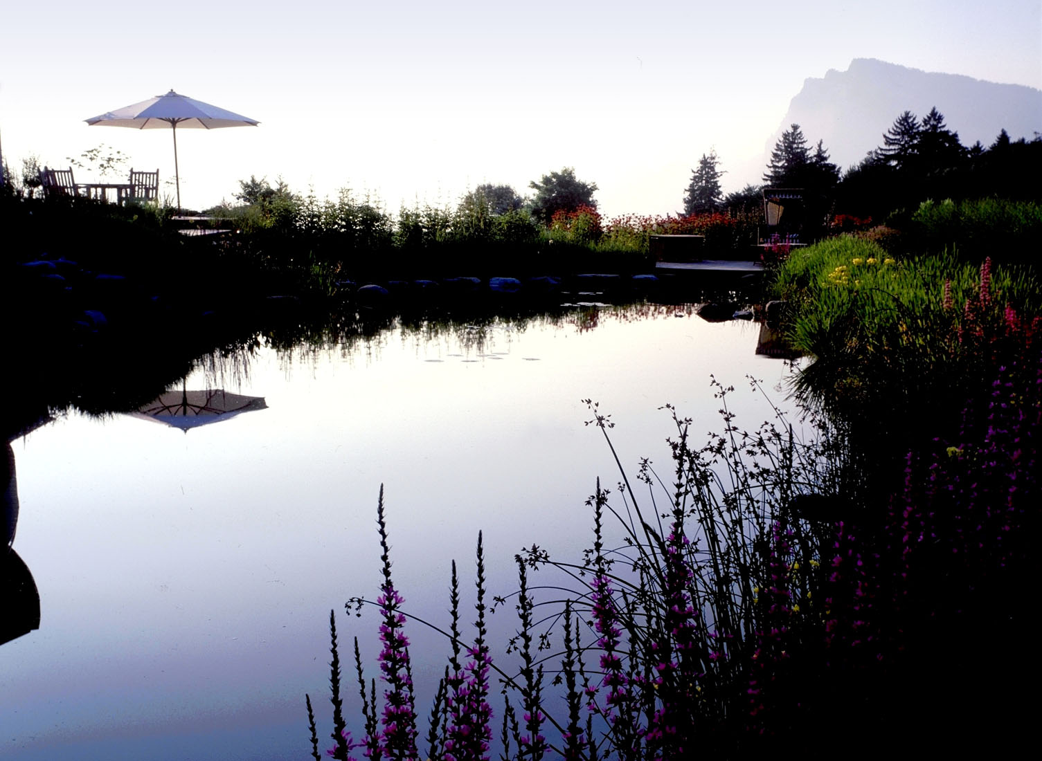 Ponds and lakes Anthony Paul