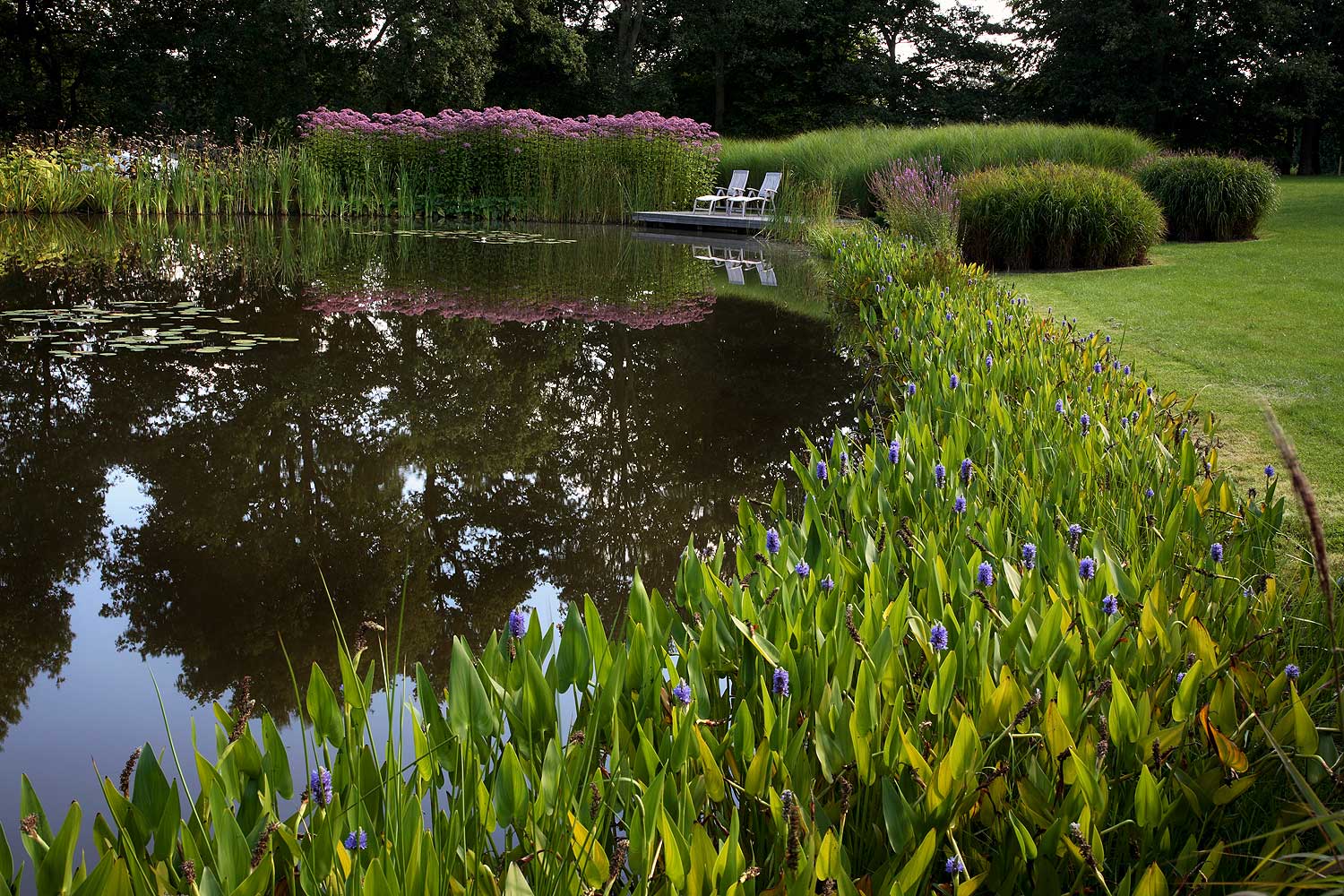 Ponds and lakes Anthony Paul