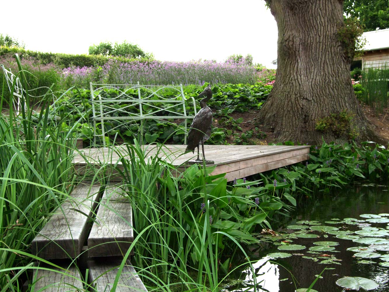 Ponds and lakes Anthony Paul