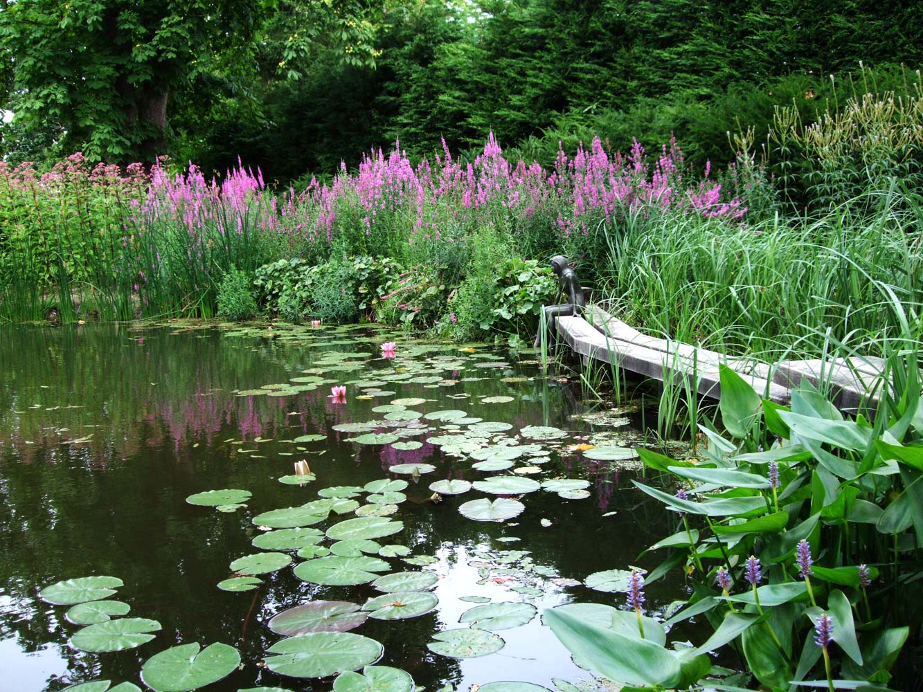 Ponds and lakes Anthony Paul