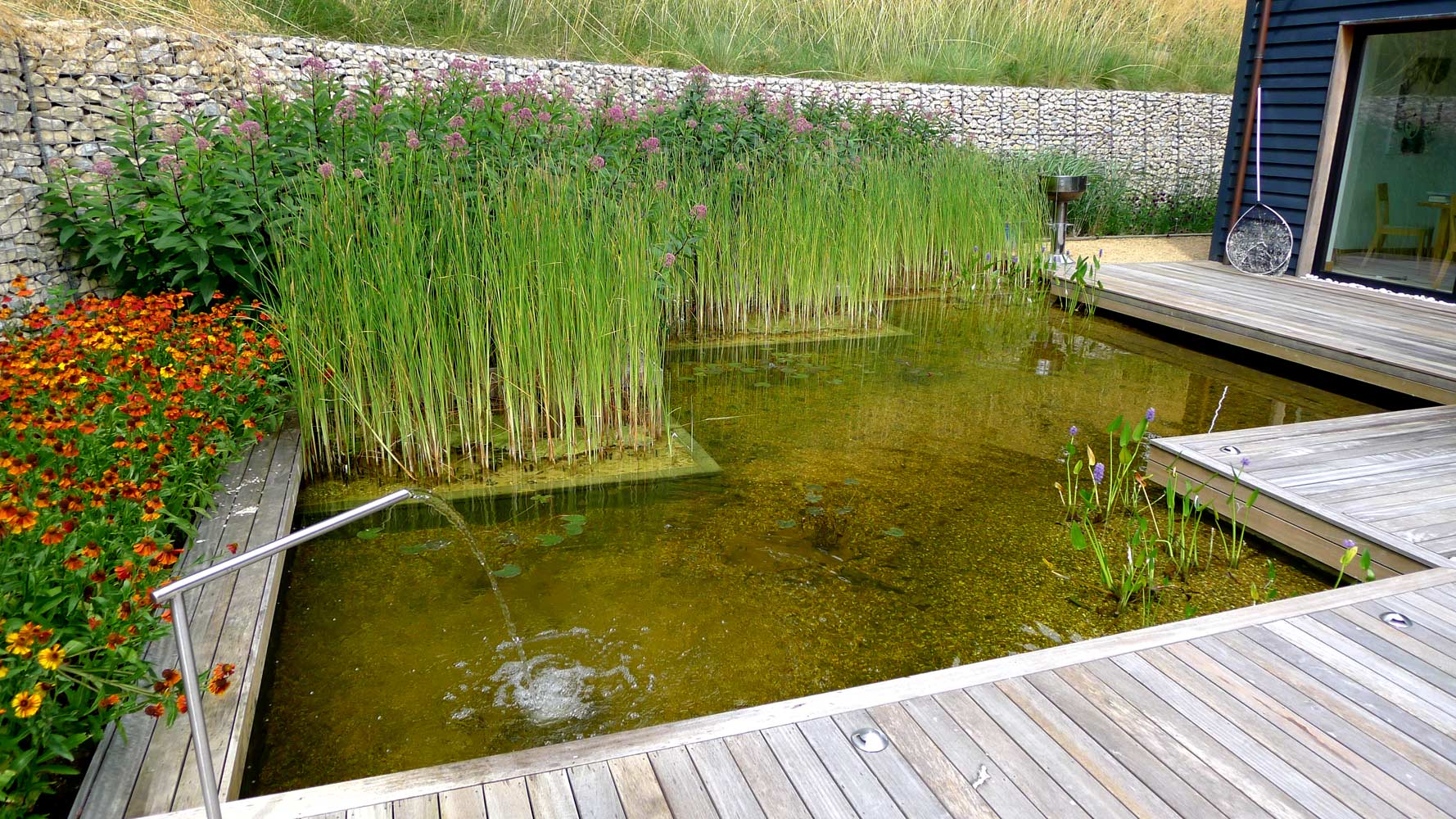 Ponds and lakes Anthony Paul