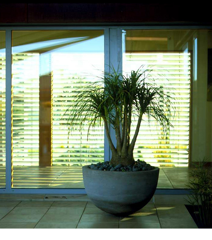 Planters by Anthony Paul Landscape Design