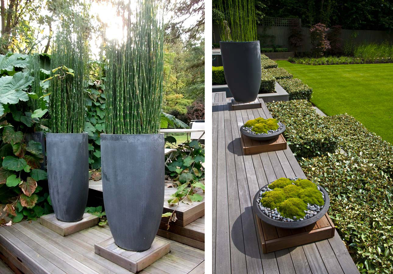 Anthony Paul Landscape Design