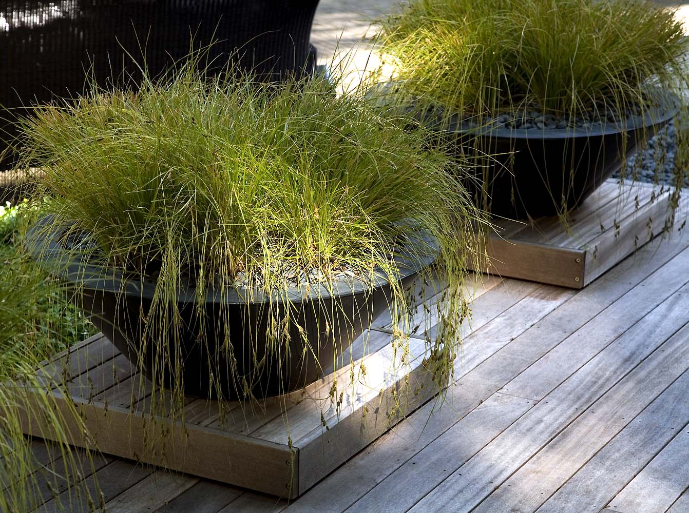Anthony Paul Landscape Design