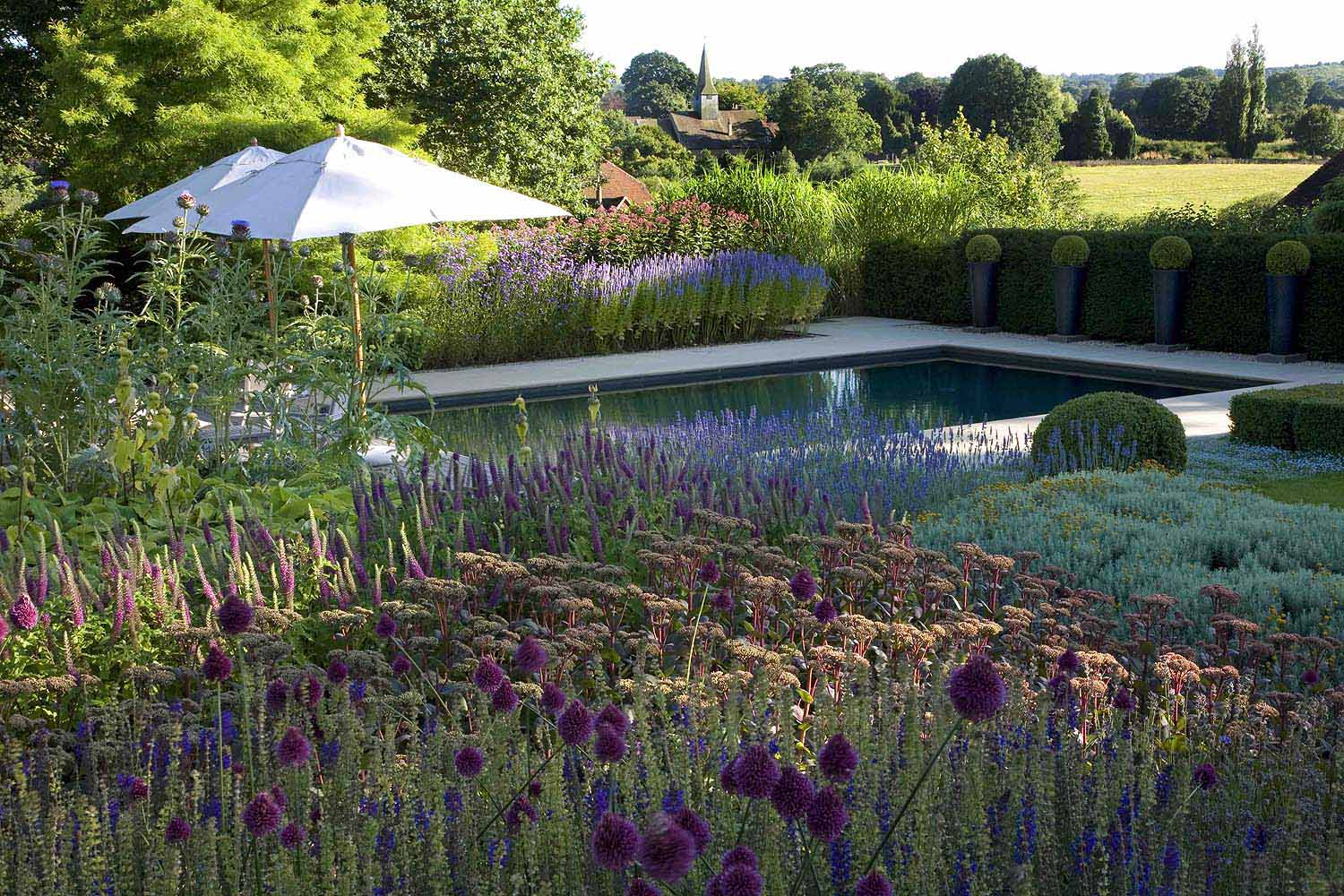 Anthony Paul Landscape Design Swimming Pools